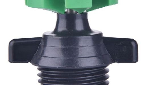 ក្បាលសាចទឹកតូច