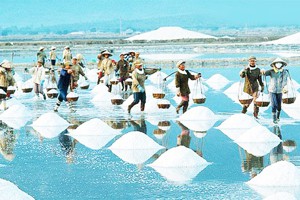 Ăn mặn có hại thế nào? Thay đổi thói quen ăn mặn ngay hôm nay