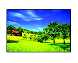 Tranh trang trí  07