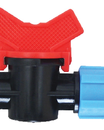  វ៉ានតូច