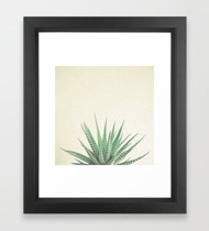 ស៊ុមរូបភាពដើមឈើនាគ