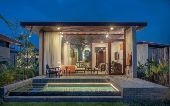 Amber​ កំពតរីសត