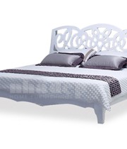 គ្រែមនុស្សពេញវ័យ