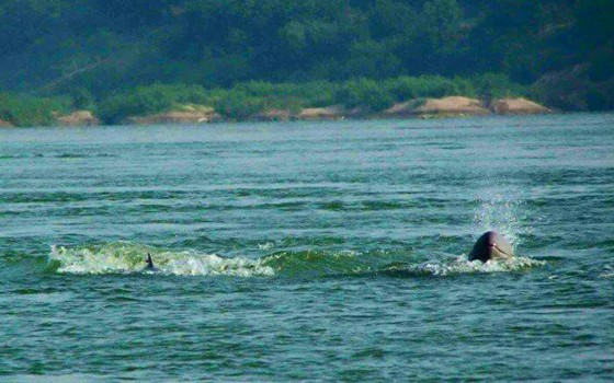 ព្រះ​រំកិល​ជា​​អន្លង់​ផ្សោត​​​នៅ​​ជាប់​ទល់​ដែន​ឡាវ