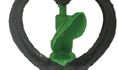 ក្បាលសាចទឹកតូច