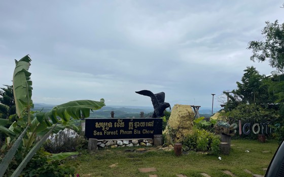 សមុទ្រឈើ ភ្នំបាយឆៅ ខេត្តមណ្ឌលគិរី