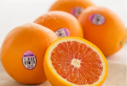 ទឹកក្រូចក្រហមអាមេរិច