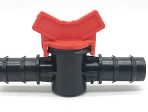 វ៉ានតូច