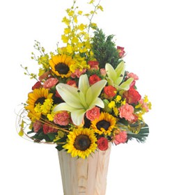 HOA LY - ÁNH DƯƠNG 2