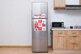 Fridge Sharp 168