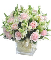 HOA HỒNG - HẠNH PHÚC BẮT ĐẦU