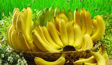 Những người không nên ăn chuối chín