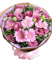 HOA ĐỒNG TIỀN - NGÀY MỚI 2