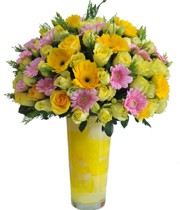 HOA ĐỒNG TIỀN - KÝ ỨC RỰC RỠ