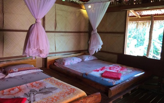 Tree Lodge ខេត្តមណ្ឌលគិរី