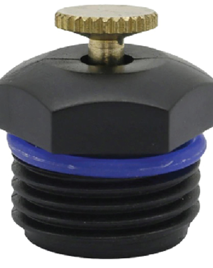 ក្បាលសាចទឹកតូច